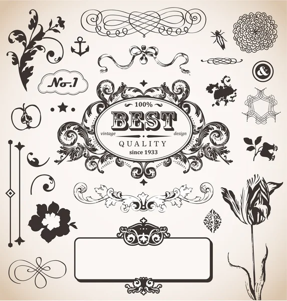 Vector set with vintage elements — Stock Vector