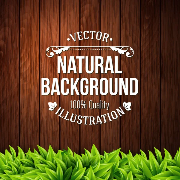 Fondo natural con tablones de madera — Archivo Imágenes Vectoriales