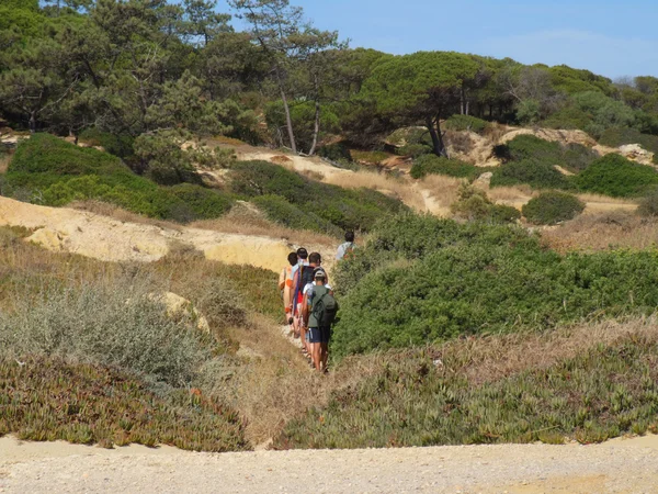 Trekking — Fotografia de Stock