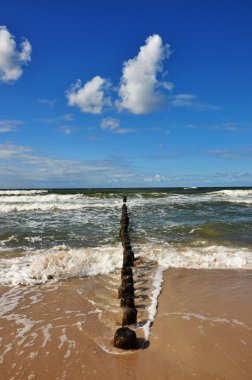 mielno Baltık Denizi'nde kumsalda