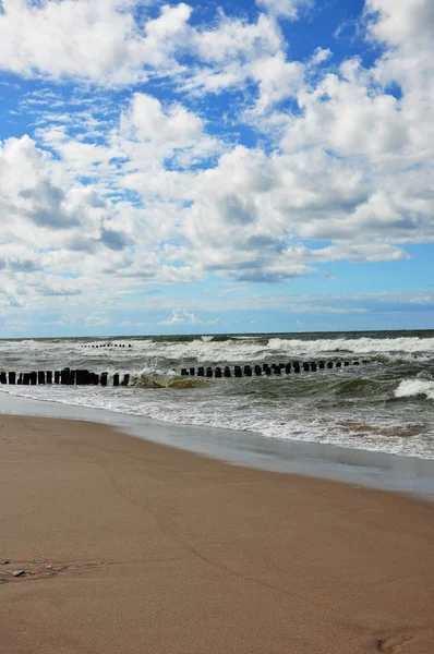 Пляж на Балтийском море в Менно — стоковое фото