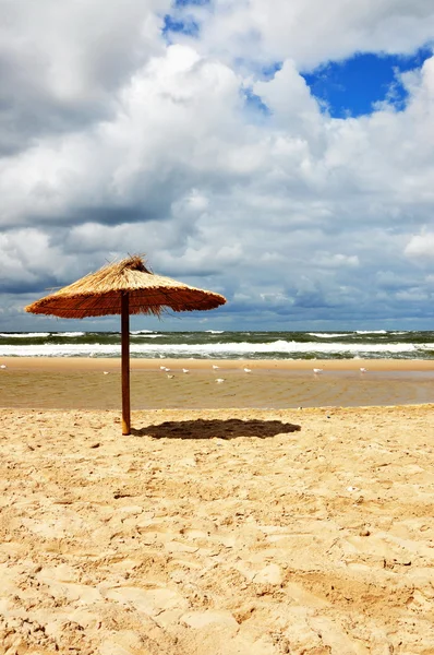 mielno Baltık Denizi'nde kumsalda