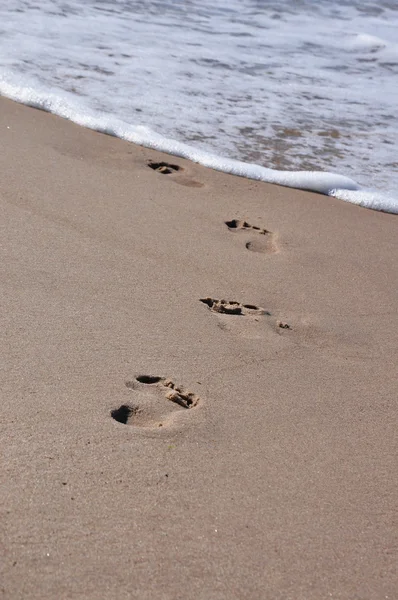 mielno Baltık Denizi'nde kumsalda
