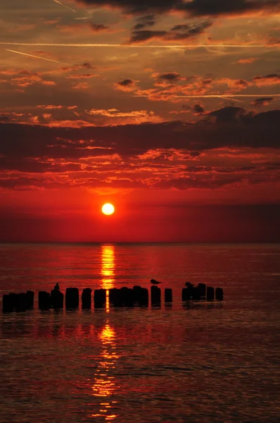 Denizin üzerinde gün batımı