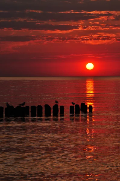 Denizin üzerinde gün batımı