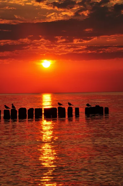 海の上の夕日 ストック画像