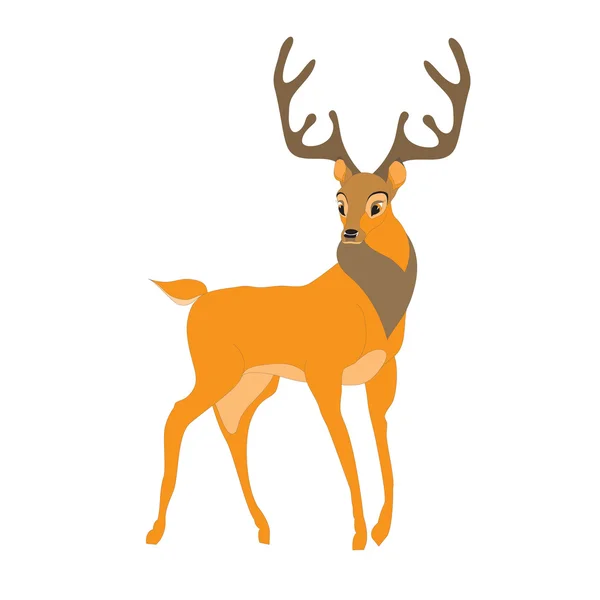 Deer — Stock Photo, Image