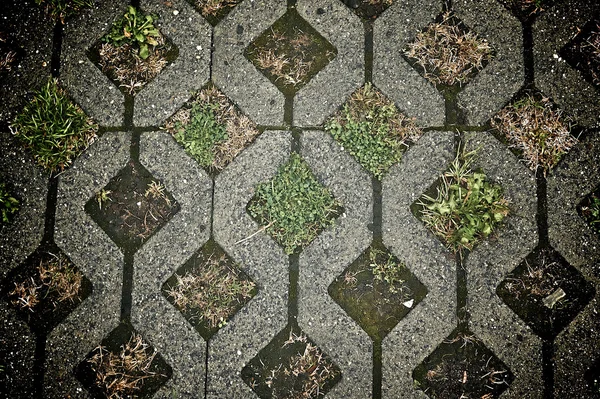 잔디 포장된 돌도로 배경 — 스톡 사진