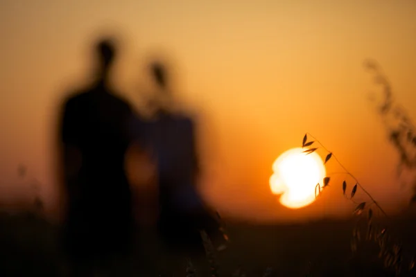 Pretty couple in the meadow on the sunset background — Zdjęcie stockowe