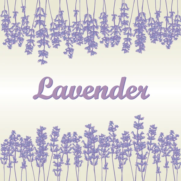 Lavendel-kort — Stockfoto