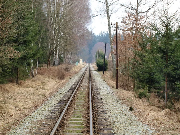 Único caminho de ferro histórico de bitola estreita — Fotografia de Stock