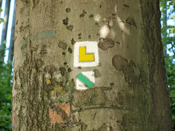 一棵树的树皮上旅游路标 — Φωτογραφία Αρχείου