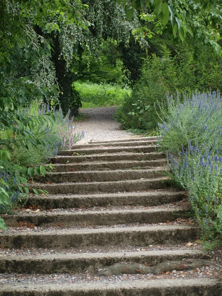 Escadas velhas no parque — Fotografia de Stock