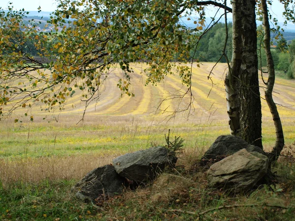 Herfst landschap, Zuid-Bohemen — Stockfoto