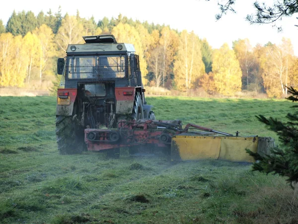 Traditionella torrt gräs — Stockfoto