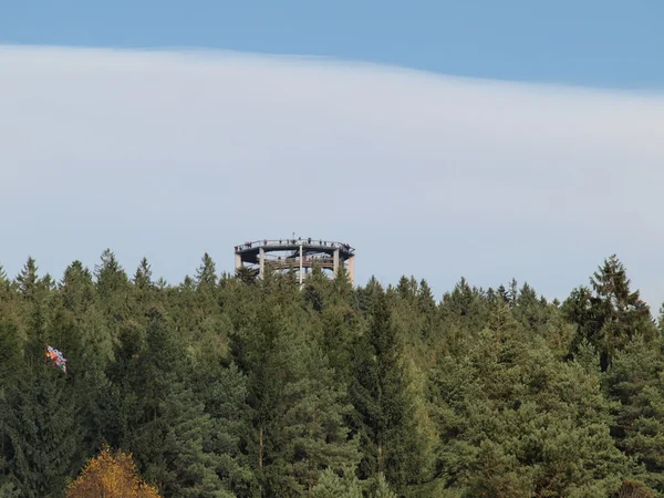 Torre de observación sobre las copas de los árboles — Foto de Stock