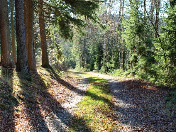 Podzimní krajina, Jižní Čechy — Stock fotografie