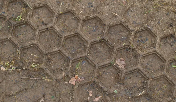 Traces de pneus dans la saleté — Photo