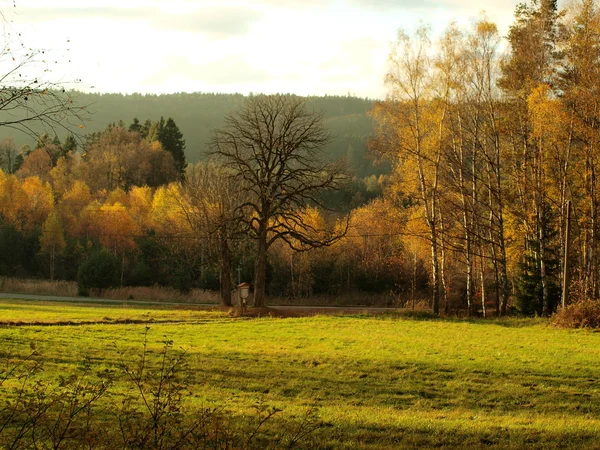 Осенний пейзаж, южная Чехия — стоковое фото