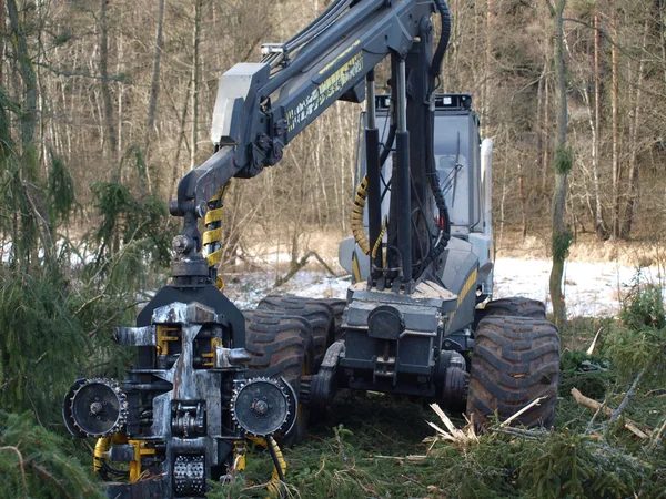 Maskin loggning, södra Böhmen — Stockfoto