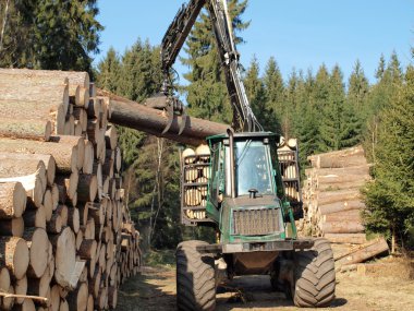 ahşap taşıma için makine