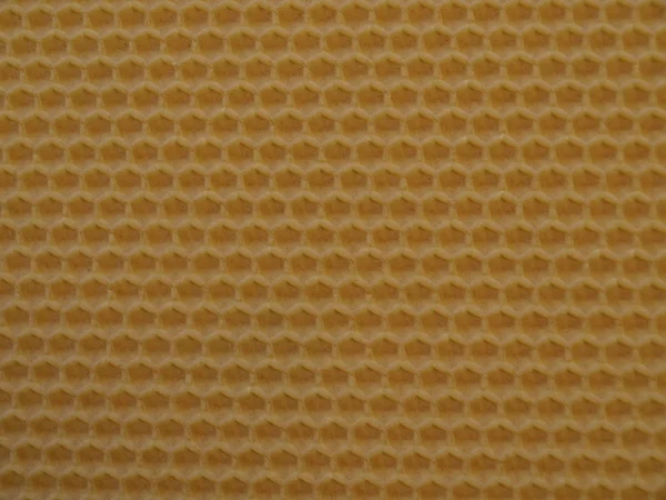 Estructura de la cera de abejas — Foto de Stock