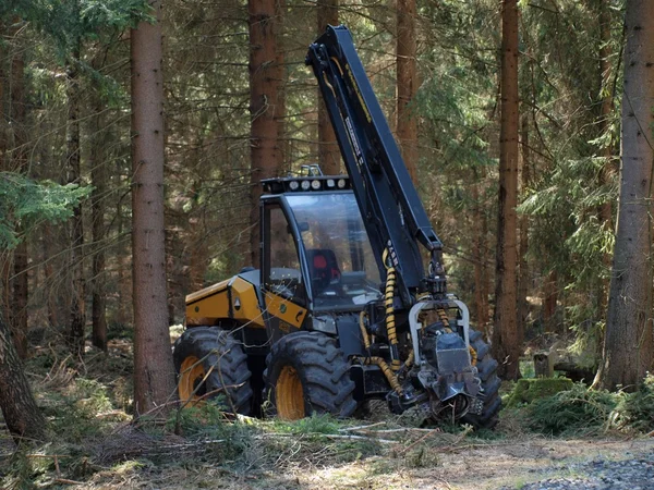 Maschinenabholzung, Südböhmen — Stockfoto