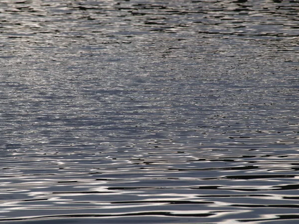 Niveau d'eau de l'étang — Photo