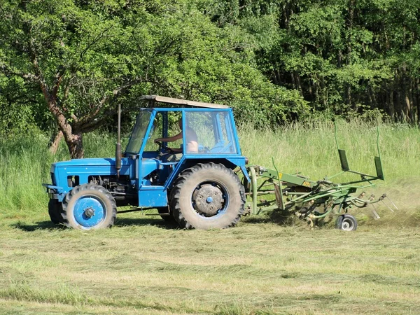 Geleneksel kuru ot — Stok fotoğraf