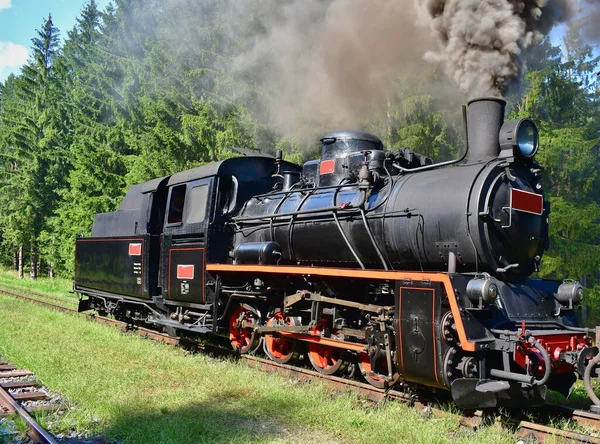 蒸汽机 历史上独一无二的窄轨铁路 南波西米亚 捷克共和国 — 图库照片