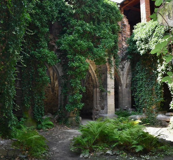 Ruiny Klasztoru Premonstratensian Rosa Coeli Łacińskiej Róży Nieba Znajdują Się — Zdjęcie stockowe