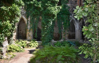 Premonstratensian manastırı Rosa coeli 'nin (Latin Cennet Gülü' nden) kalıntıları Çek Cumhuriyeti 'nin Brno ilçesine bağlı Dolni Kounice kasabasının doğu ucunda yer almaktadır..
