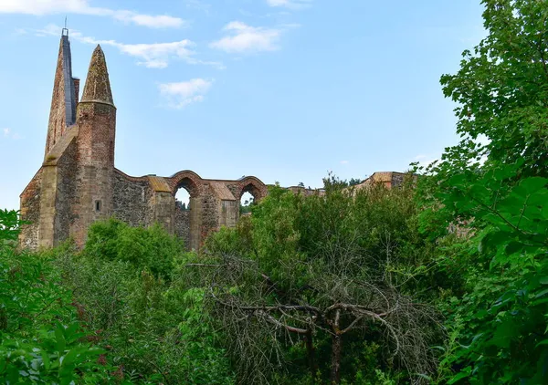 Ruiny Klasztoru Premonstratensian Rosa Coeli Łacińskiej Róży Nieba Znajdują Się — Zdjęcie stockowe