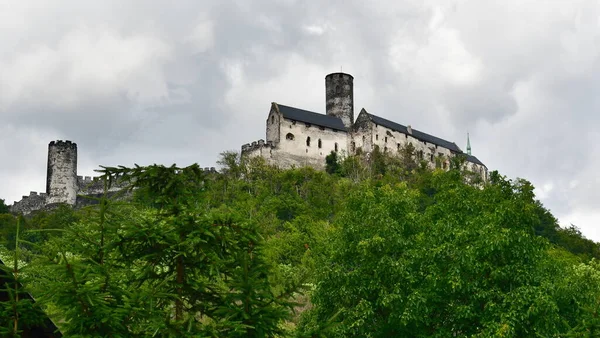 Bezdez Niem Bsig Ruina Zamku Czeskiej Dzielnicy Lipa Znajduje Się — Zdjęcie stockowe