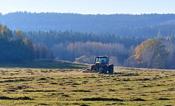 Traditional Dry Grass South Bohemia Czech Republik — Stock Photo, Image