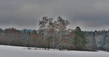Kar manzarası, Güney Bohemya, Çek Cumhuriyeti