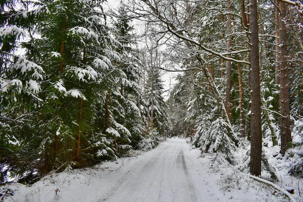 南波西米亚的雪景景观 捷克共和国 — 图库照片