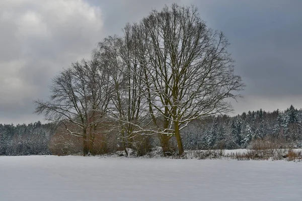 Blick Auf Die Verschneite Landschaft Südböhmen Tschechien — Stockfoto