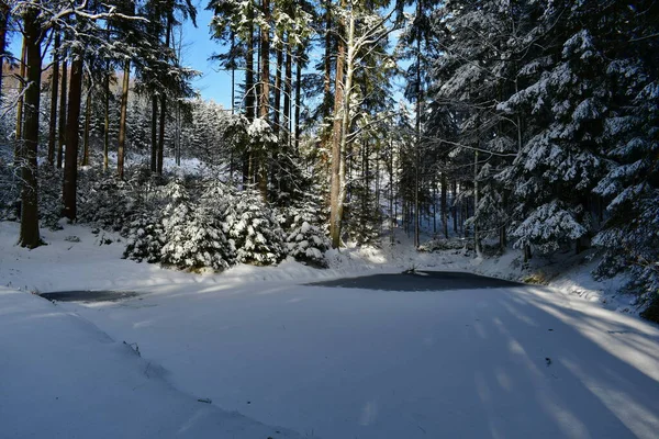 捷克共和国南波西米亚雪地森林中的小森林湖 — 图库照片