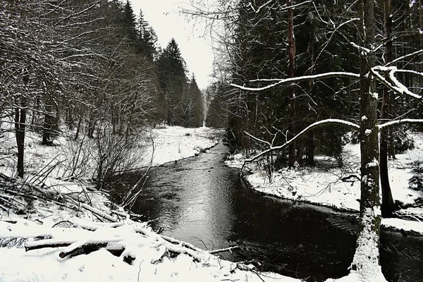 南波西米亚的雪景景观 捷克共和国 — 图库照片
