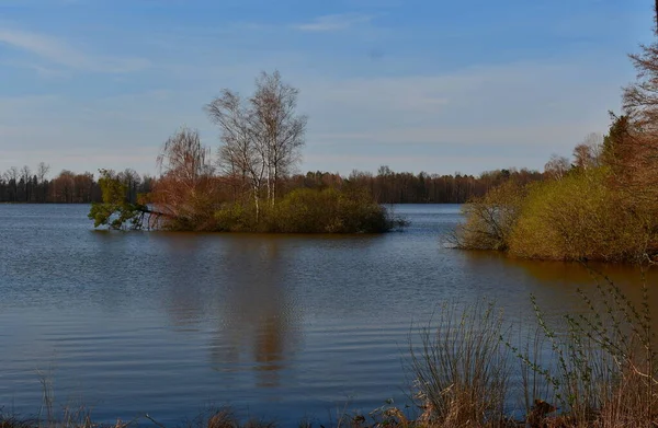 Vijvers Het Platteland Van Zuid Bohemen Tsjechië — Stockfoto