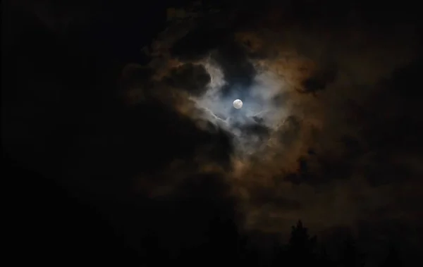 Full Moon Forest South Bohemia Czech Republic — Stock Photo, Image