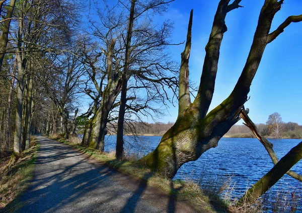 Çek Cumhuriyeti 'nin Güney Bohemya kırsalında göletler