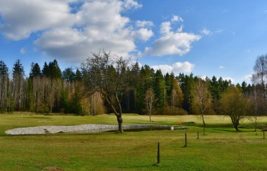 Güney Bohemya, Çek Cumhuriyeti 'nde bahar manzarasında küçük bir gölet onarıldı.