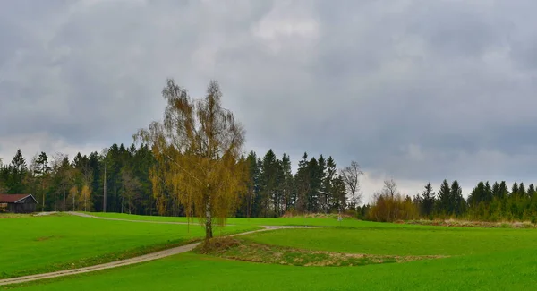 Spring Landscape Austrian Border Czech Republic Austria — Zdjęcie stockowe