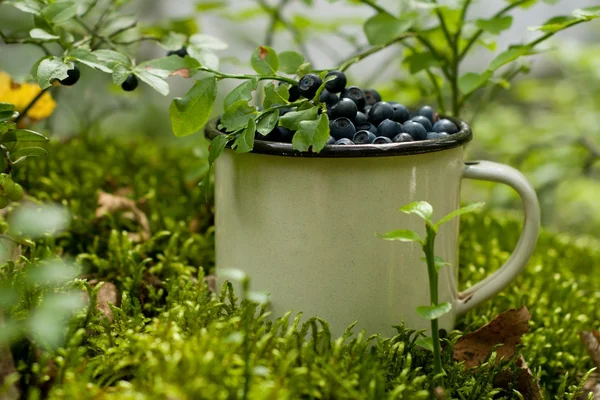 Bir fincanda yabanmersini