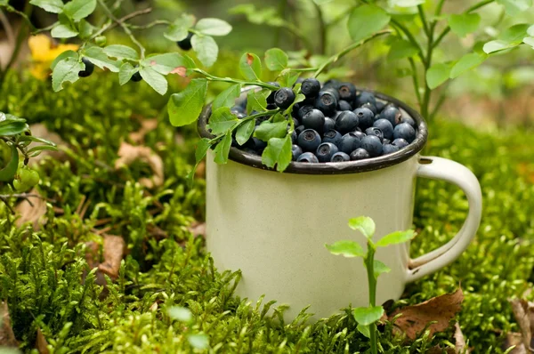 蓝莓在杯子里 免版税图库图片