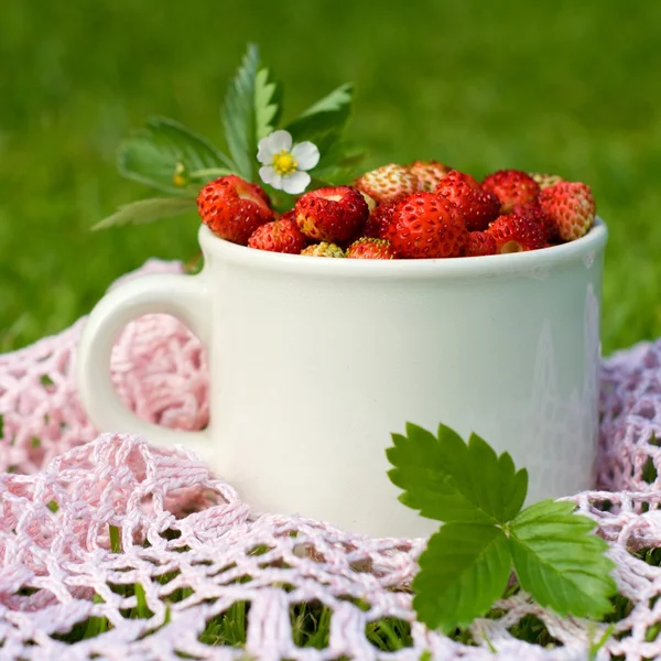 bir bardak kırmızı Yaban çilekleri