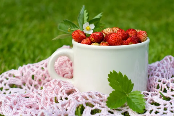 bir bardak kırmızı Yaban çilekleri