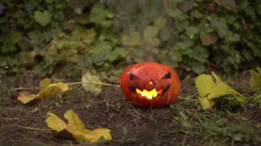 Cadılar Bayramı balkabağı gerçek ateşle yanar. Jack Fener bayramda yerde yatar. 4k
